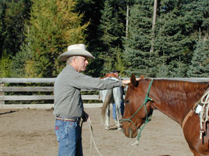 Equitation western des cow boys am&eacute;ricains (Am&eacute;rique du Nord - USA) : reining, cutting, barrel racing, pleasure, nouveaux maitres de l'&eacute;quitation naturelle...