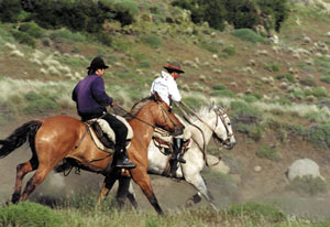 Les gauchos d'Amérique du Sud (Argentine, Chili, Patagonie, Uruguay, Equateur, Brésil...)