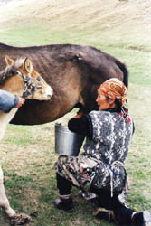 Les peuples nomades d'Asie Centrale : Kirghizie, Mongolie