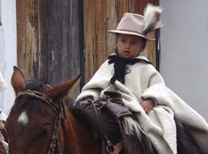 L'équitation de travail, de l'équitation western des cow boys américains à la culture des gauchos argentins en passant par la doma vaquera en Andalousie