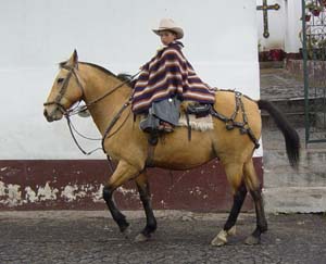 Les gauchos d'Amérique du Sud (Argentine, Chili, Patagonie, Uruguay, Equateur, Brésil...)